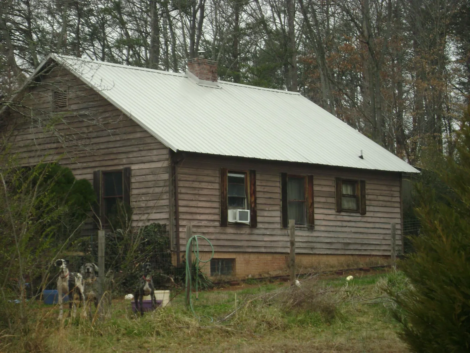 White metal roof on an old wood sided farmhouse, from a Metal Roof Installation job in Castle Rock